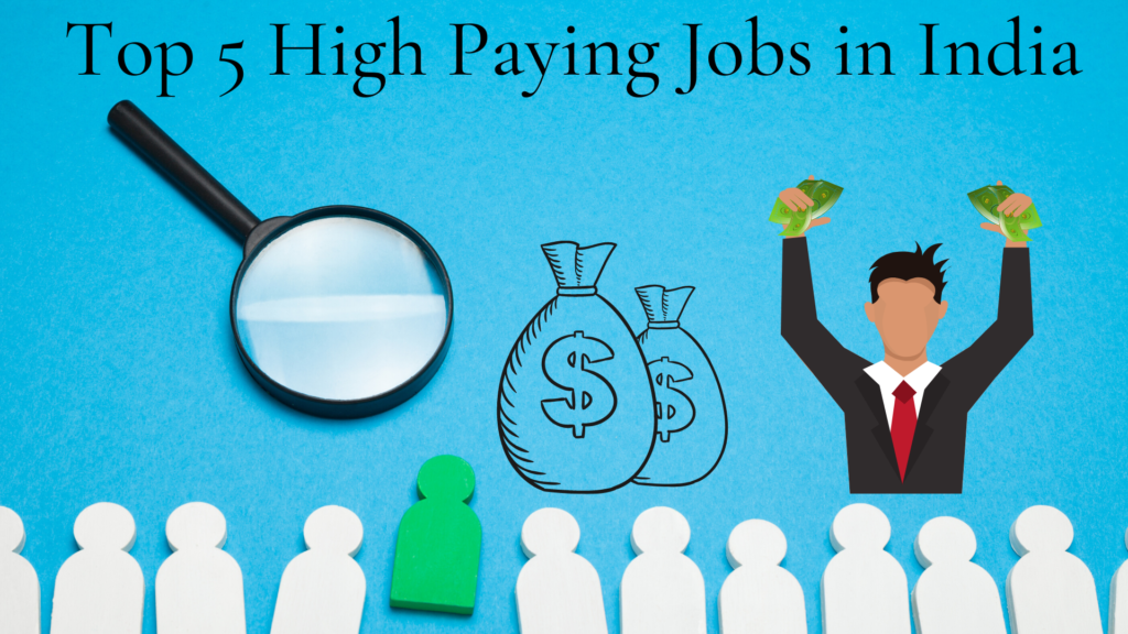 Top 5 High Paying Jobs In India With Required Skills In 2020 NMK