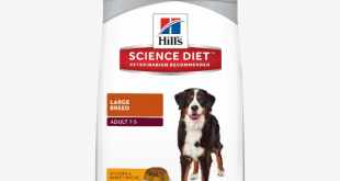 hills science diet dog