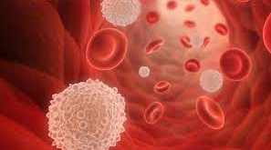 Universal Donor Blood Type