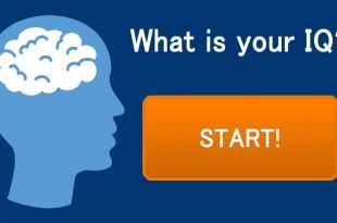 how to take an iq test